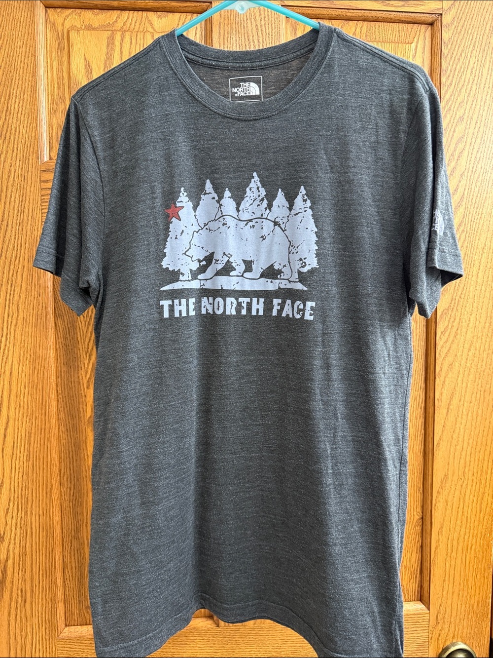 The North Face Men’s Dark Charcoal Bear & Trees Graphic Tee with Red Star